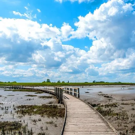 Apartment Directly On The Dike Tossens