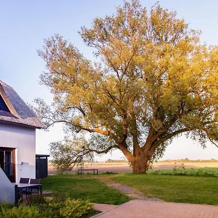 Apartment Directly On The Dike *